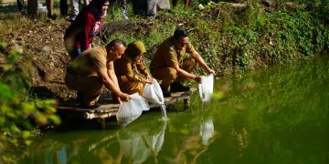 Bantuan 166.470 Benih Ikan Nila Genjot Pemulihan Perikanan Pascabanjir di Pati