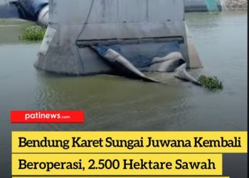 Bendung Karet Sungai Juwana Kembali Beroperasi, 2.500 Hektare Sawah Selamat dari Ancaman Kekeringan