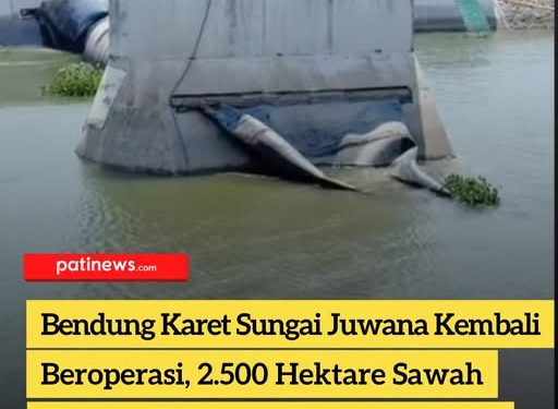 Bendung Karet Sungai Juwana Kembali Beroperasi, 2.500 Hektare Sawah Selamat dari Ancaman Kekeringan