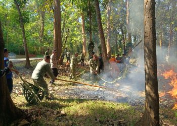 Apel Siaga Kebakaran Hutan dan Lahan Perum Perhutani KPH Mantingan Tahun 2026, Perkuat Sinergi Antisipasi Karhutla