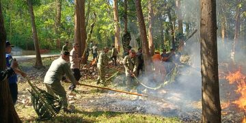 Apel Siaga Kebakaran Hutan dan Lahan Perum Perhutani KPH Mantingan Tahun 2026, Perkuat Sinergi Antisipasi Karhutla