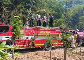 Gabungan Polsek Lasem, Koramil, dan Damkar Berhasil Padamkan Kebakaran Lahan Tebu di Selopuro