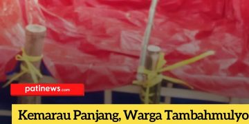 Kemarau Panjang, Warga Tambahmulyo Pati Patungan Beli Air Rp170 Ribu per Tangki