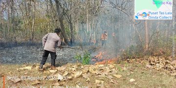Polsek Lasem Polres Rembang Laksanakan Groundcheck dan Pemadaman Kebakaran Lahan Pohon Jati di Desa Selopuro