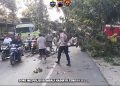 Polsek Kragan Gerak Cepat Evakuasi Pohon Tumbang di Jalan Nasional Desa Tegalmulyo