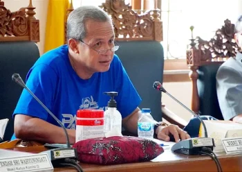 Wisnu Wijayanto, DPRD Pati